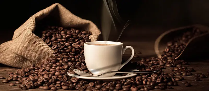 سفر دانه قهوه از مزرعه تا فنجان شما