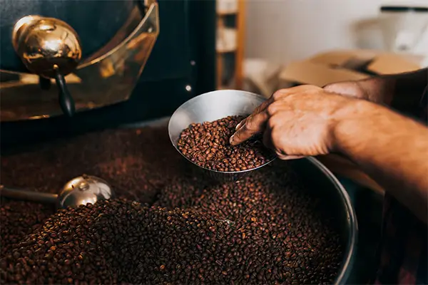 خرید دستگاه رست قهوه در بابل