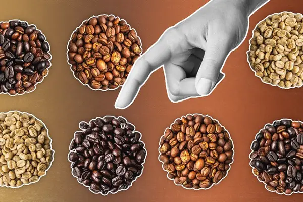 ۵ نکته کلیدی برای انتخاب دانه قهوه مناسب برای رست