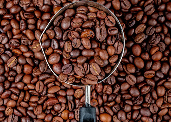 فروش دستگاه رستر قهوه در مهاباد |☕خرید مستقیم و تضمینی 1404 تولید مستقیم بدون واسطه در مهاباد (قیمت کارخانه + ضمانت)